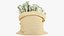 Money Bags Collection V36 3D model