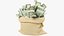 Money Bags Collection V36 3D model