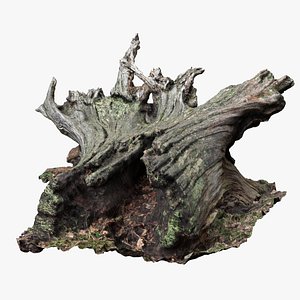 3D 8K Split Trunk model