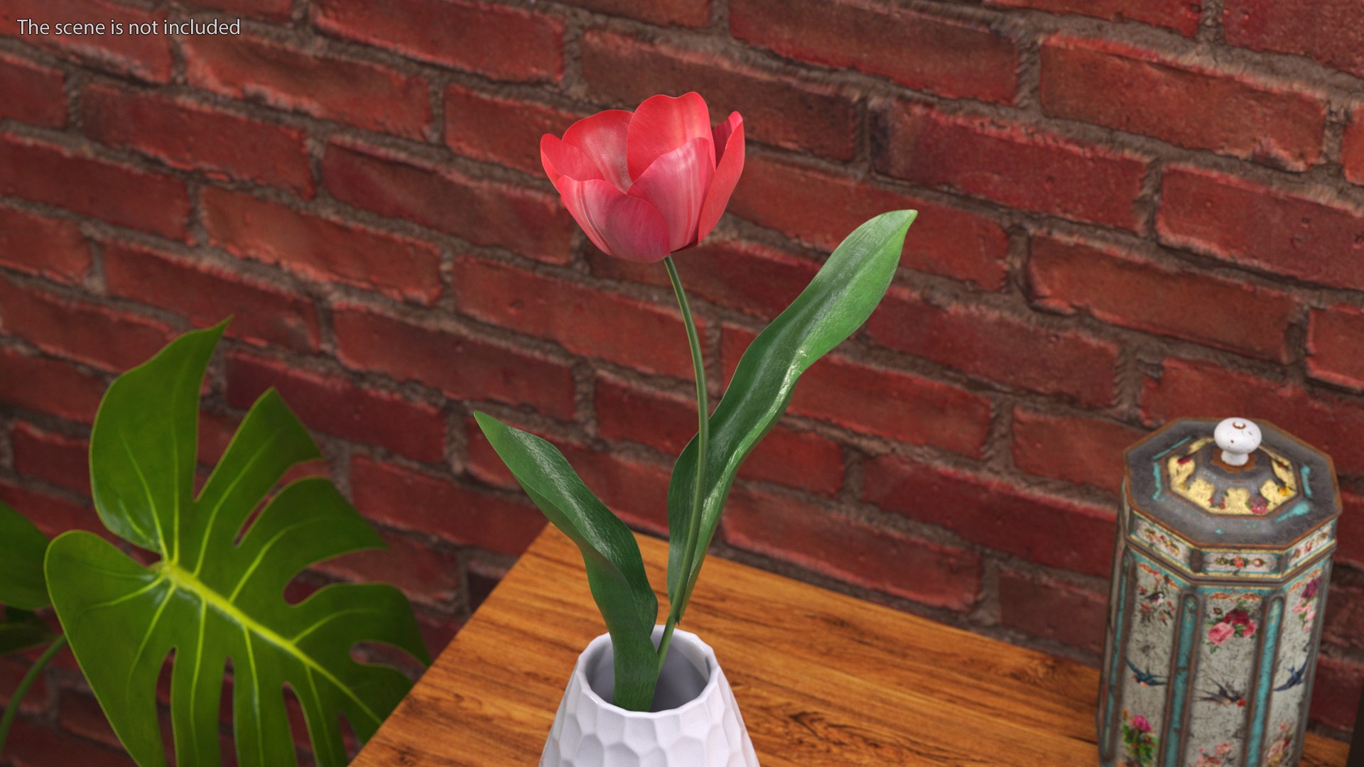 3D Pink Blooming Tulip Flower https://p.turbosquid.com/ts-thumb/dy/OJh4an/CH/pinkbloomingtulipflowermb3dmodel003/jpg/1707524601/1920x1080/fit_q87/a91b1740ff66d193bd045a5a05d0679e5d6cbc7f/pinkbloomingtulipflowermb3dmodel003.jpg
