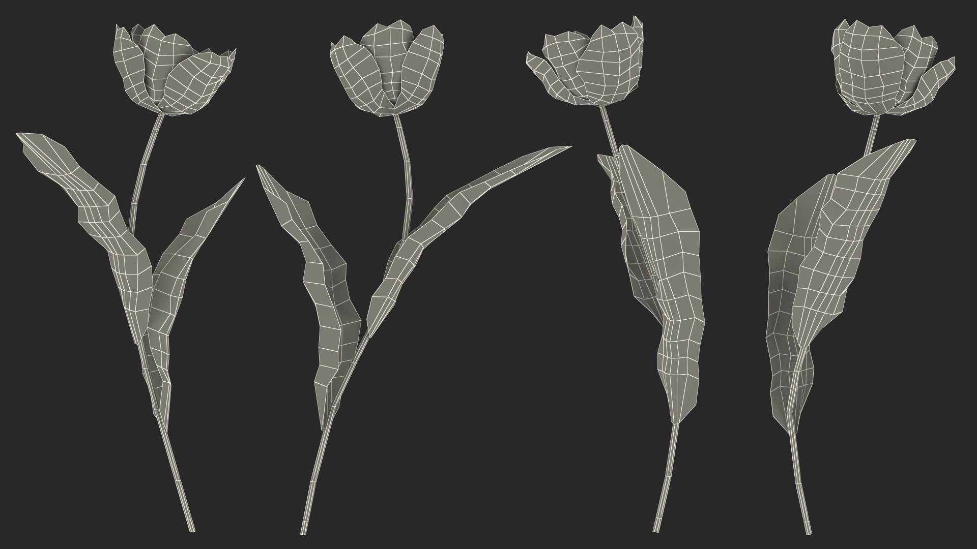 3D Pink Blooming Tulip Flower https://p.turbosquid.com/ts-thumb/dy/OJh4an/CZ/pinkbloomingtulipflowermb3dmodel021/jpg/1707524682/1920x1080/fit_q87/b2a554b13015da465cc995c47a601bff62022da1/pinkbloomingtulipflowermb3dmodel021.jpg