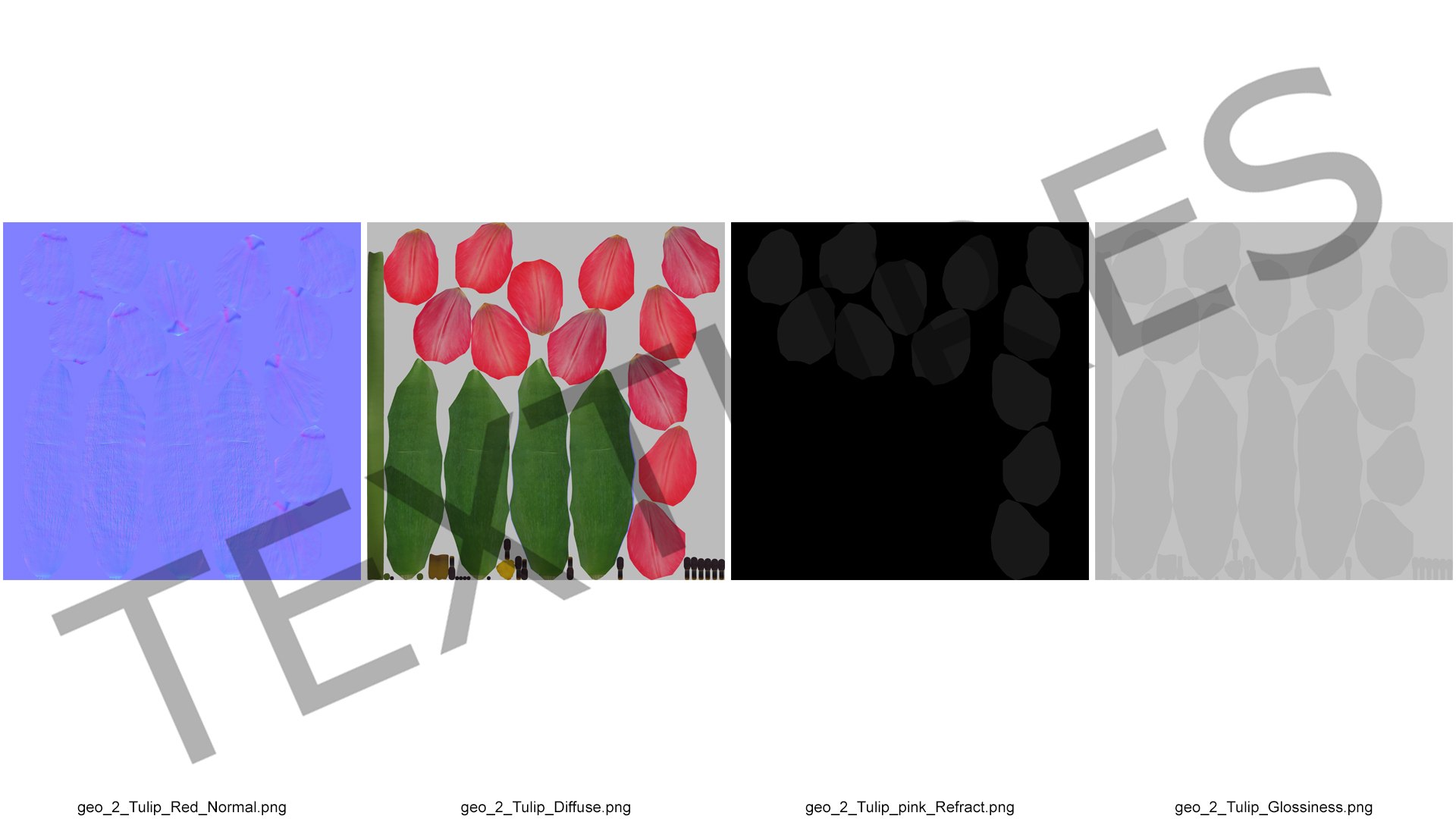 3D Pink Blooming Tulip Flower https://p.turbosquid.com/ts-thumb/dy/OJh4an/ju/pinkbloomingtulipflowermb3dmodel015/jpg/1707524658/1920x1080/fit_q87/d0cd909ce7c8902e2ccf7c80d4ed729817b0221a/pinkbloomingtulipflowermb3dmodel015.jpg