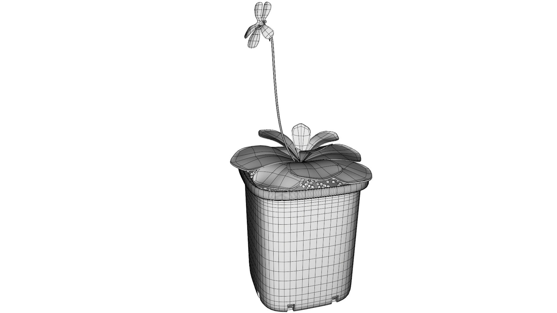 plant butterwort 3D model https://p.turbosquid.com/ts-thumb/dy/fIgmOX/3l/0009/jpg/1607537581/1920x1080/fit_q87/ee552e06642731021d3f4020db124b99fc874871/0009.jpg
