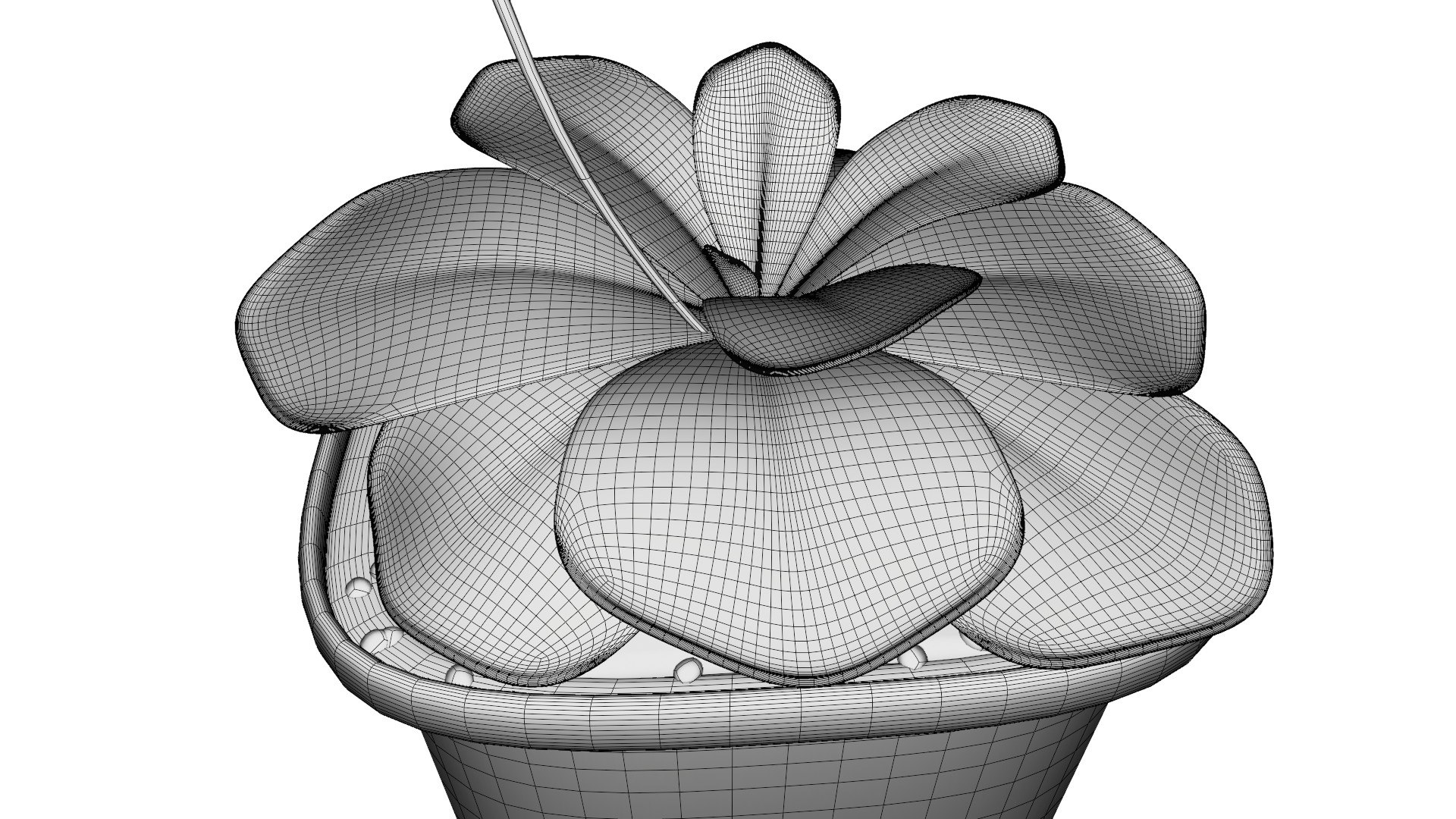 plant butterwort 3D model https://p.turbosquid.com/ts-thumb/dy/fIgmOX/7O/0010/jpg/1607537587/1920x1080/fit_q87/826debad3dec0eaa52613cba3a3fc947786a8914/0010.jpg