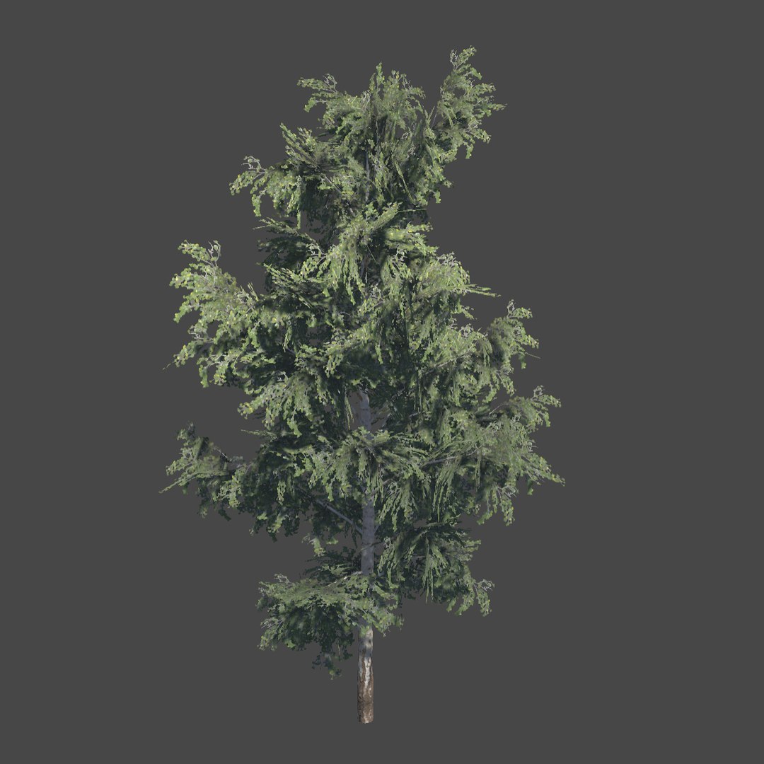 foliage tree 3D model https://p.turbosquid.com/ts-thumb/dy/h4GEP9/09IQ3skc/1/jpg/1575323042/1920x1080/fit_q87/b387f5f6dd0758f258d3233607d41903040c0a9d/1.jpg