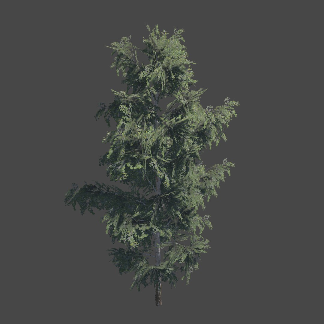 foliage tree 3D model https://p.turbosquid.com/ts-thumb/dy/h4GEP9/KnUOOQyH/2/jpg/1575323051/1920x1080/fit_q87/8bd42b58ff4255c0f6012d44e1d0d011ba6f686f/2.jpg