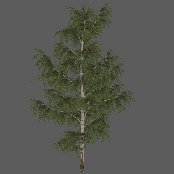 foliage tree 3D model