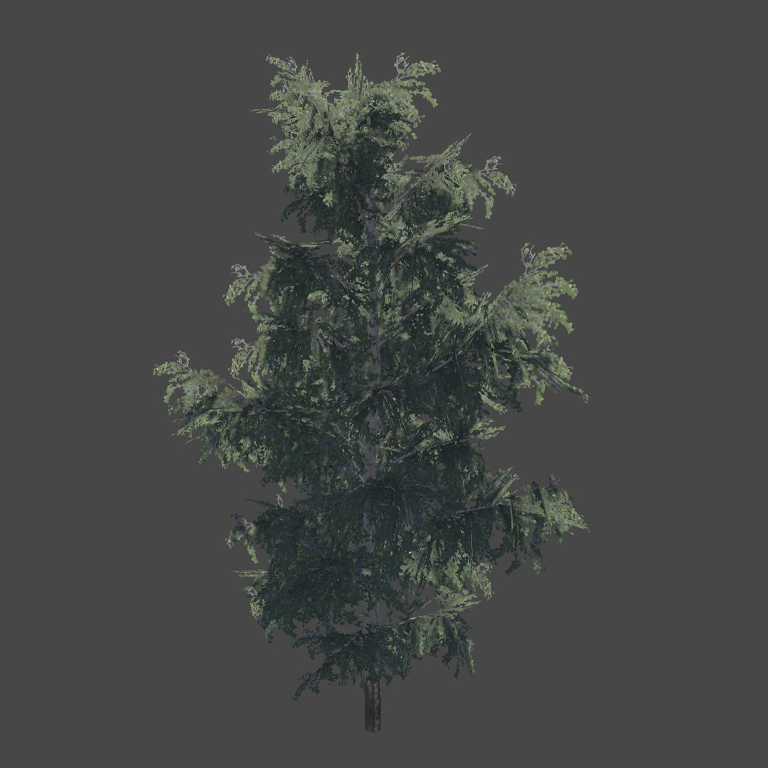 foliage tree 3D model https://p.turbosquid.com/ts-thumb/dy/h4GEP9/e7amk79c/3/jpg/1575323060/1920x1080/fit_q87/5bc61cd71e8ed1353e0d1505dc2f3ae34531e84a/3.jpg