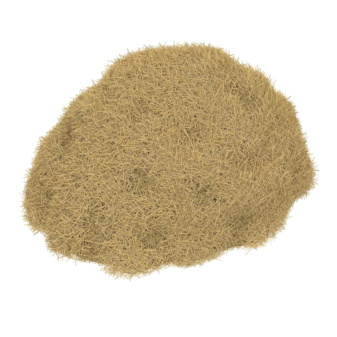 3ds max hay pile 3 https://p.turbosquid.com/ts-thumb/dy/izwEg3/2Xmc1F9e/haypile3dmodel05/jpg/1428900578/1920x1080/fit_q87/296871a53977c53123e009918c8ba955feaa28e7/haypile3dmodel05.jpg