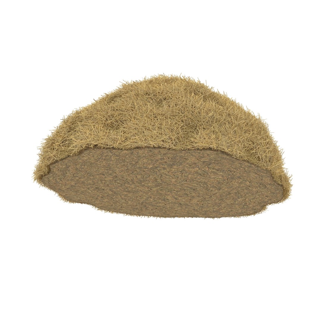 3ds max hay pile 3 https://p.turbosquid.com/ts-thumb/dy/izwEg3/2wEyoTrZ/haypile3dmodel09/jpg/1428900578/1920x1080/fit_q87/b1bc8bcd46a040cd252c59d491240cc9ca5e8e3c/haypile3dmodel09.jpg
