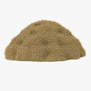 Hay Pile 3