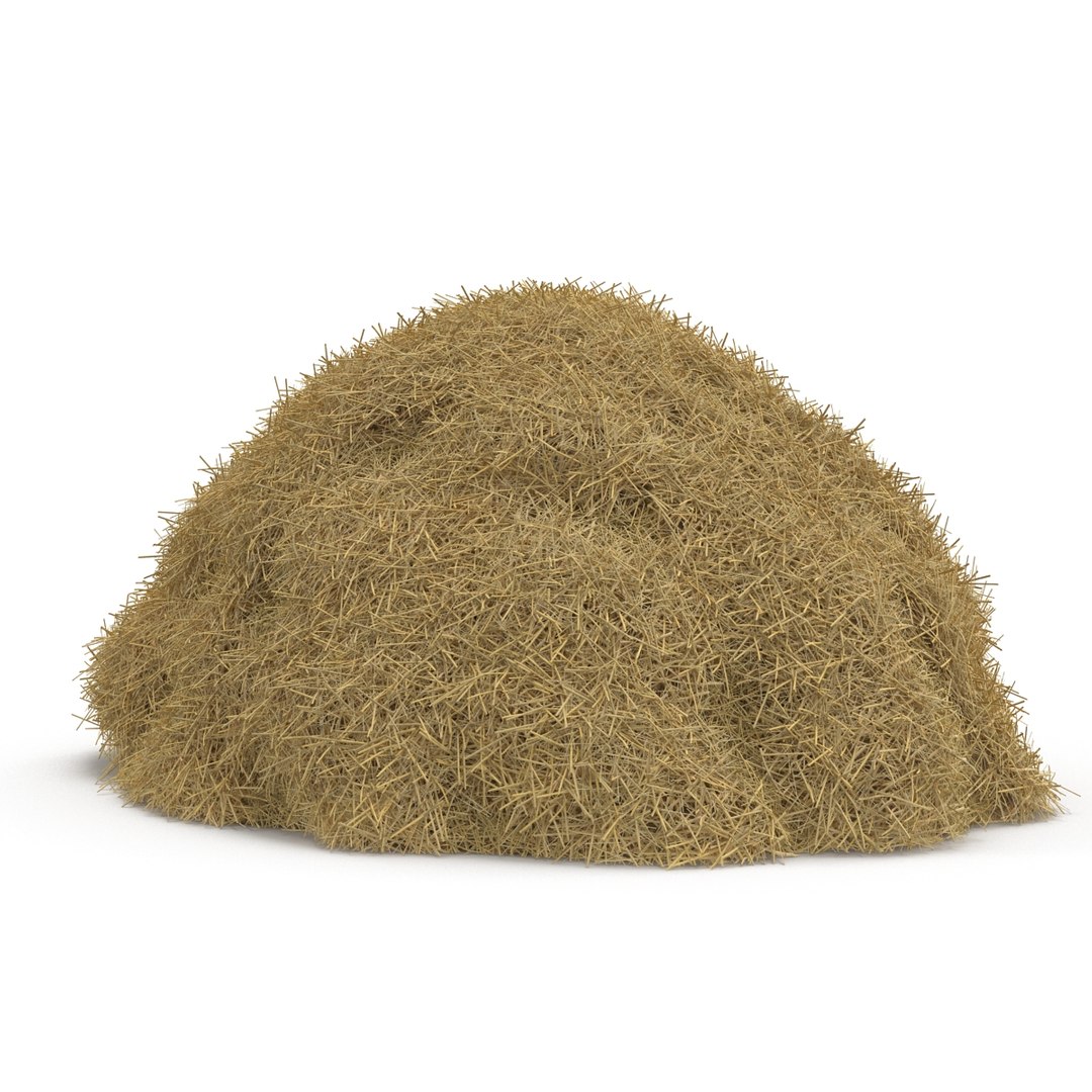 3ds max hay pile 3 https://p.turbosquid.com/ts-thumb/dy/izwEg3/C74BnJ47/haypile3dmodel03/jpg/1428900578/1920x1080/fit_q87/2c42e6dd0e88d1091b447efb2bc6f6402ac11f4e/haypile3dmodel03.jpg