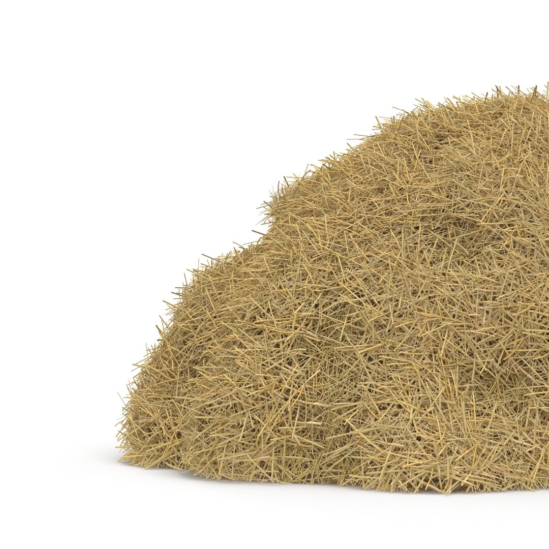3ds max hay pile 3 https://p.turbosquid.com/ts-thumb/dy/izwEg3/IdfuSbOa/haypile3dmodel11/jpg/1428900578/1920x1080/fit_q87/1a2a69e3872c6e72e85994b38a40585430ae7b59/haypile3dmodel11.jpg