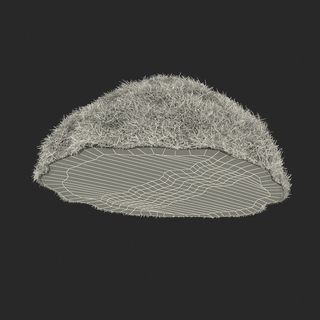 3ds max hay pile 3 https://p.turbosquid.com/ts-thumb/dy/izwEg3/PQeAMsRe/haypile3dmodel22/jpg/1428900579/1920x1080/fit_q87/2f6d6aef810952a70bf94c3d4fe940c1a8ac4b12/haypile3dmodel22.jpg