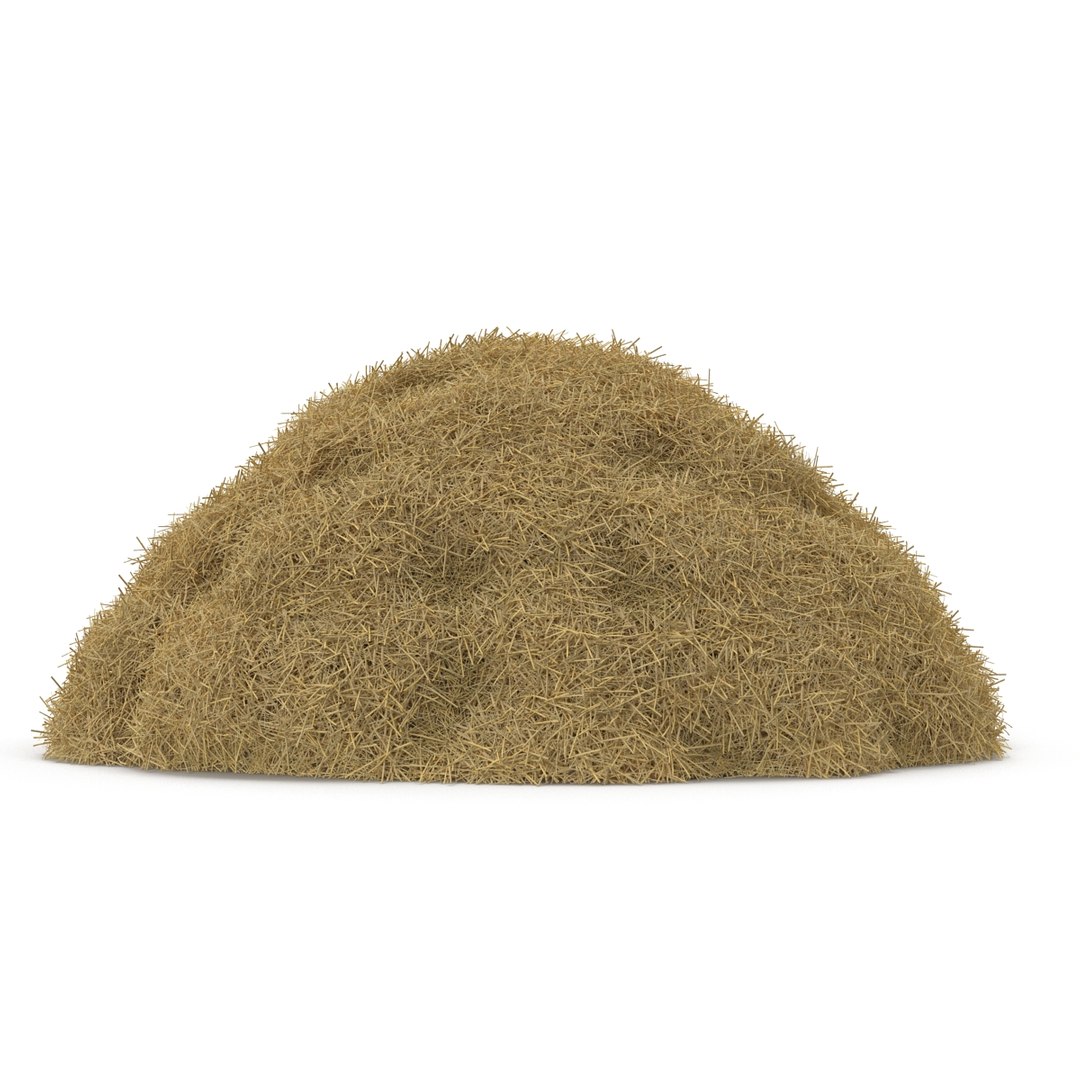 3ds max hay pile 3 https://p.turbosquid.com/ts-thumb/dy/izwEg3/QmKcHzO9/haypile3dmodel02/jpg/1428900578/1920x1080/fit_q87/2f3fffc1ce26cc4b10258e4be542174c3ebc97c7/haypile3dmodel02.jpg
