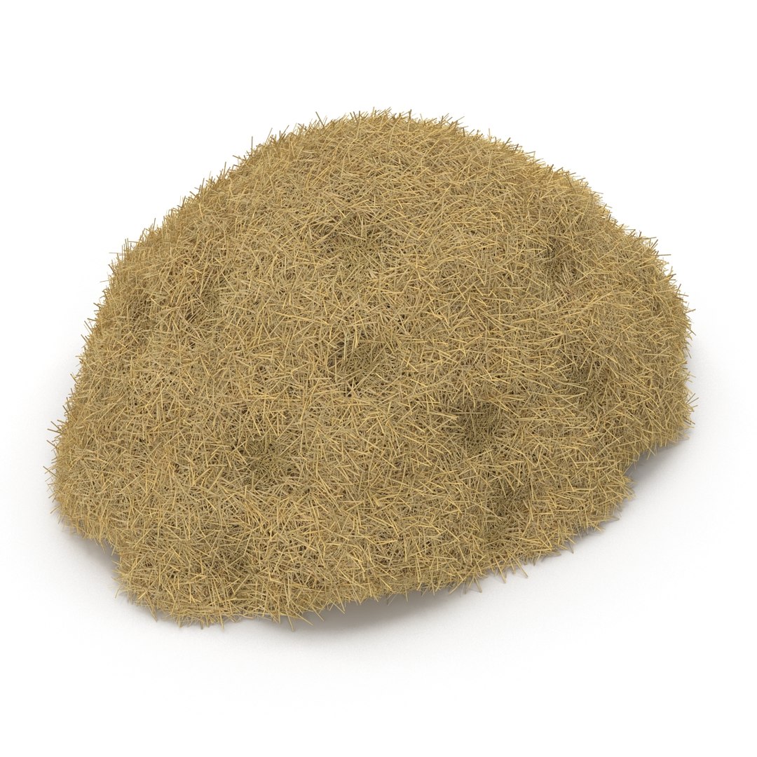 3ds max hay pile 3 https://p.turbosquid.com/ts-thumb/dy/izwEg3/bjviEB8Q/haypile3dmodel06/jpg/1428900578/1920x1080/fit_q87/8f76786c6eddc07f0317035b4d8c75f42e03432a/haypile3dmodel06.jpg