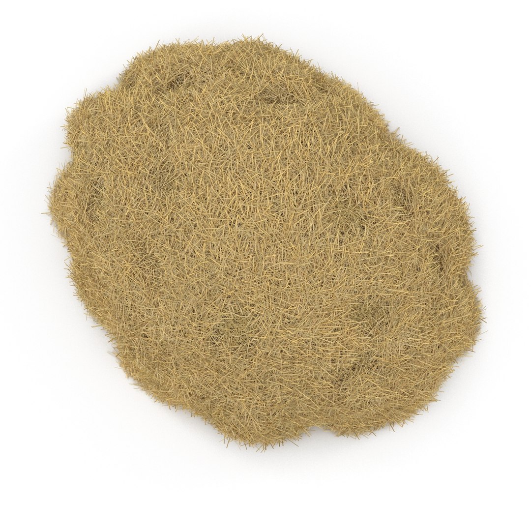 3ds max hay pile 3 https://p.turbosquid.com/ts-thumb/dy/izwEg3/fiXXLkip/haypile3dmodel07/jpg/1428900578/1920x1080/fit_q87/21e78245c985f5ae03c7100d5e23e570bc808097/haypile3dmodel07.jpg