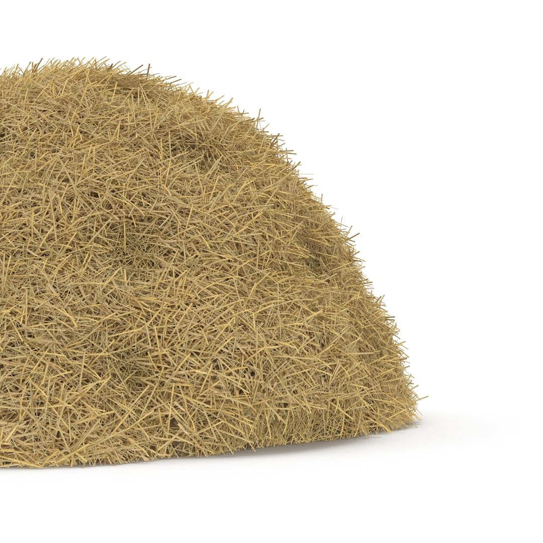 3ds max hay pile 3 https://p.turbosquid.com/ts-thumb/dy/izwEg3/gHE3o3fA/haypile3dmodel10/jpg/1428900578/1920x1080/fit_q87/c158cfe6d99f8d167e883d2b0c3844e1c40e45a6/haypile3dmodel10.jpg