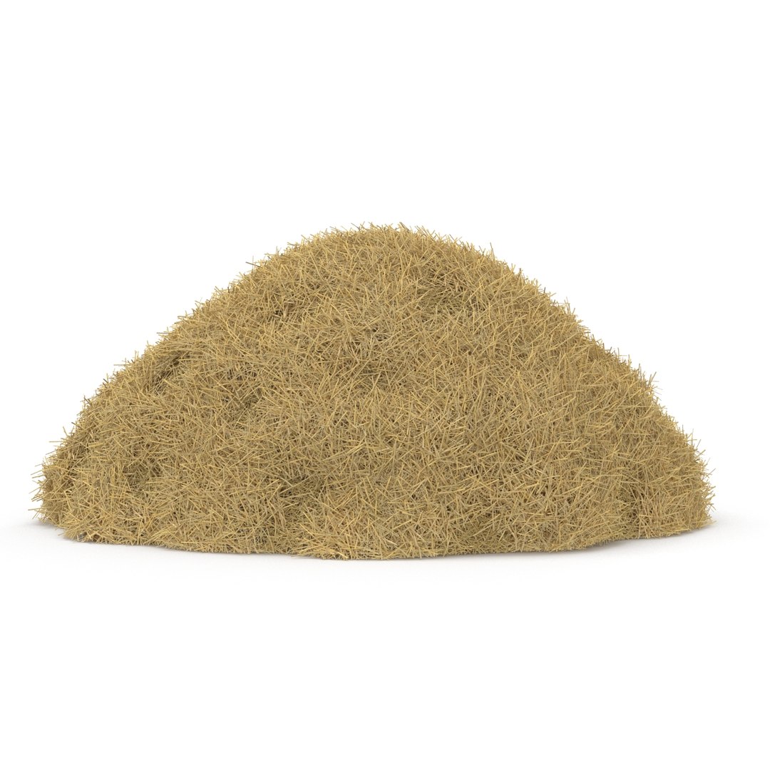 3ds max hay pile 3 https://p.turbosquid.com/ts-thumb/dy/izwEg3/pJl3PFvy/haypile3dmodel04/jpg/1428900578/1920x1080/fit_q87/76237e7ce99d3ccca75d789afe2bca9433ee2d2a/haypile3dmodel04.jpg