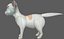 Cartoon Cat
