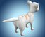 Cartoon Cat
