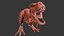 V Rex Dinosaur 3d model low poly