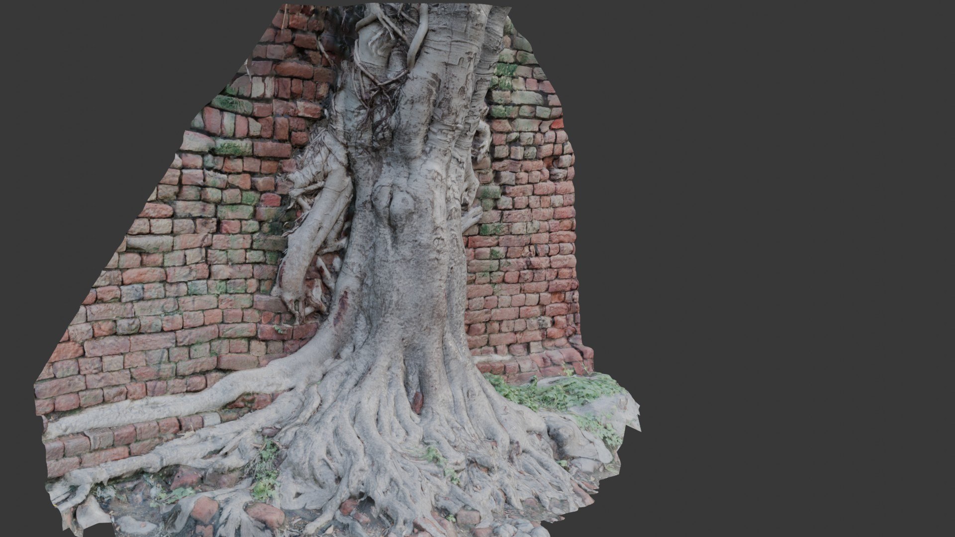 Tree Roots In Brick Wall Scan 3D Model - TurboSquid 2391832