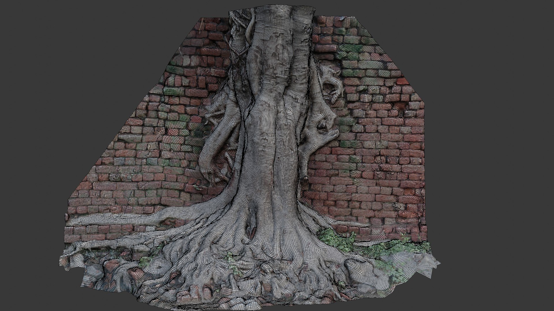 Tree Roots In Brick Wall Scan 3D Model - TurboSquid 2391832