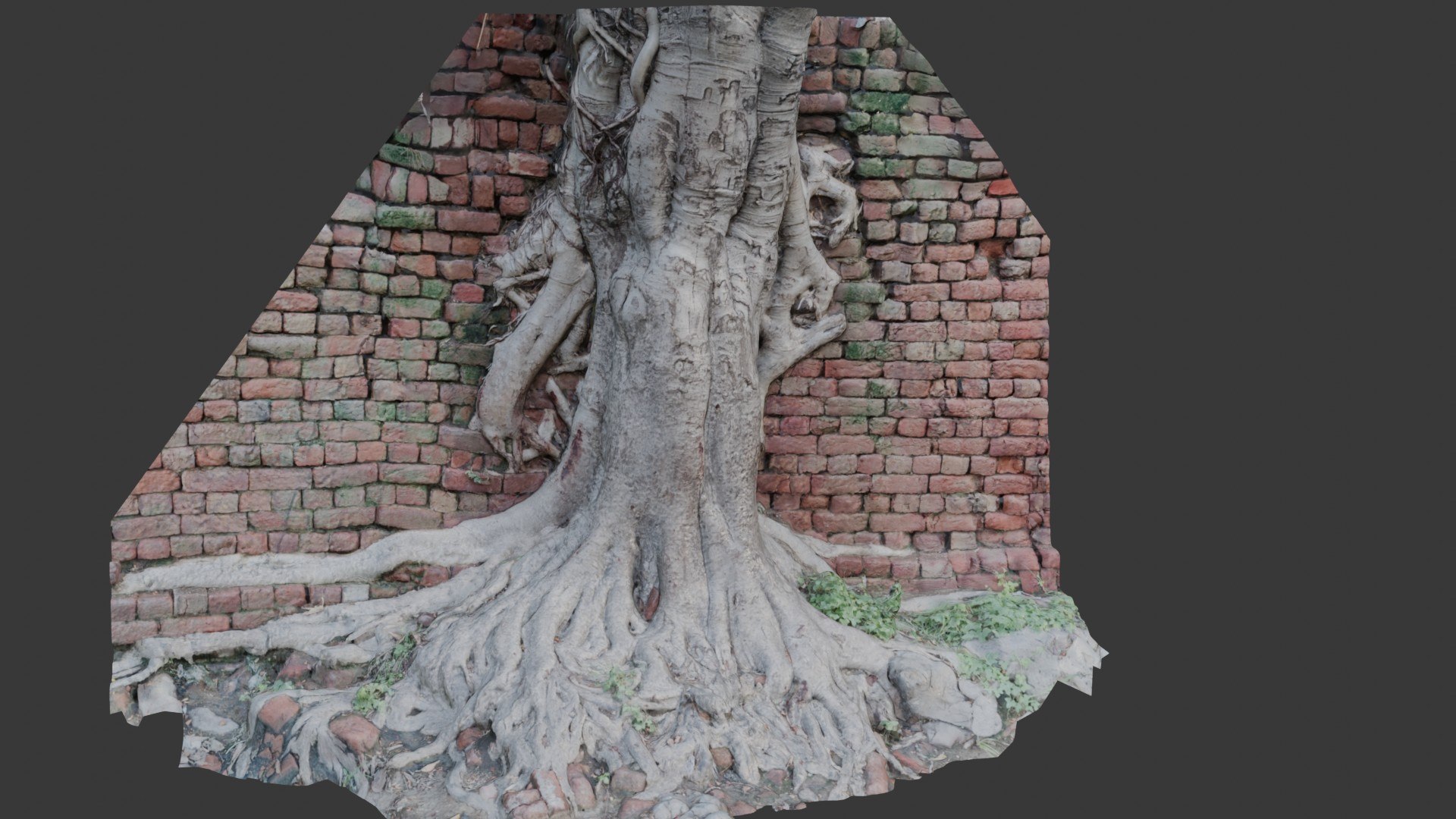 Tree Roots In Brick Wall Scan 3D Model - TurboSquid 2391832