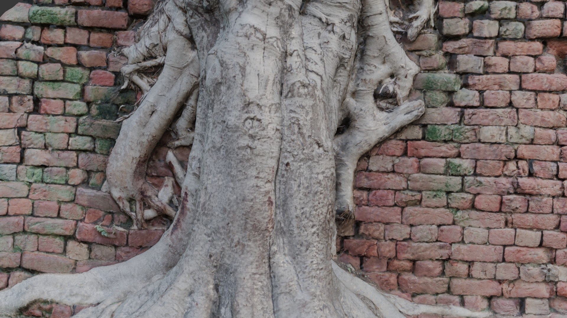 Tree Roots In Brick Wall Scan 3D Model - TurboSquid 2391832