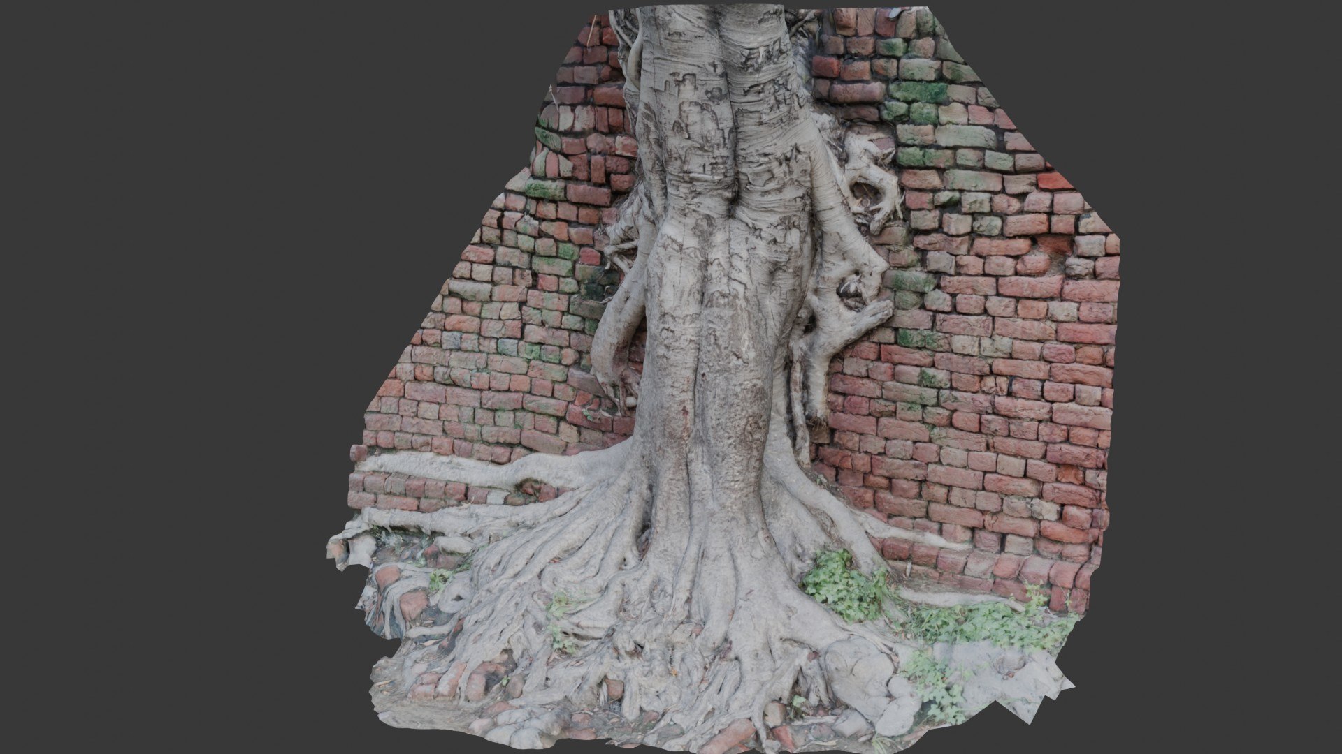 Tree Roots In Brick Wall Scan 3D Model - TurboSquid 2391832
