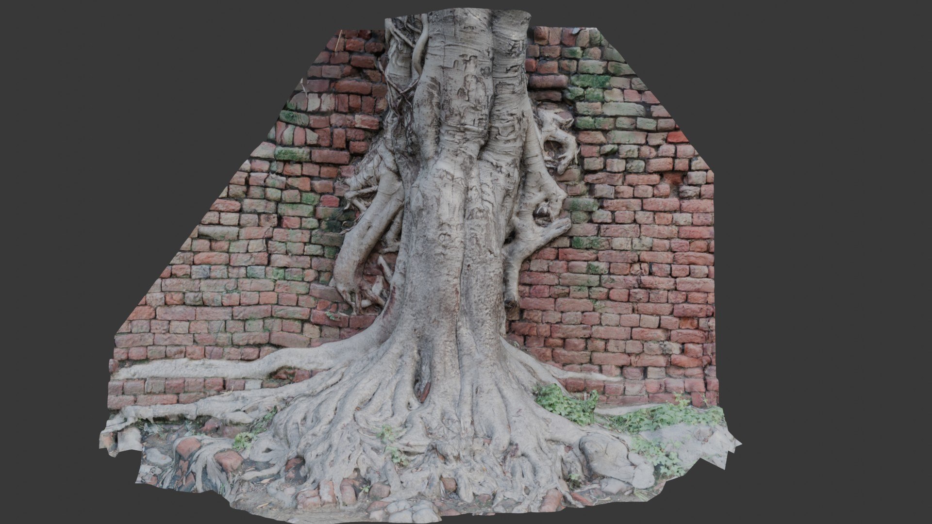 Tree Roots In Brick Wall Scan 3D Model - TurboSquid 2391832