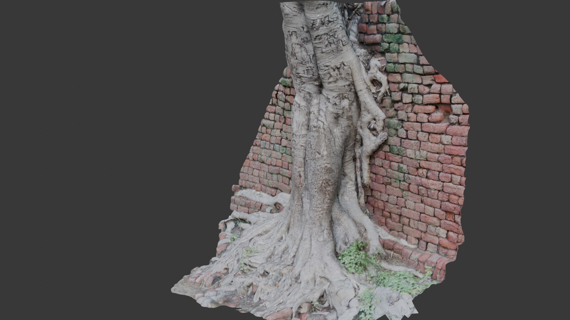 Tree Roots In Brick Wall Scan 3D Model - TurboSquid 2391832