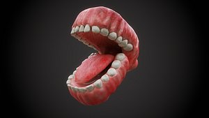 Low Poly Human Mouth with Teeth and Tongue 3D model