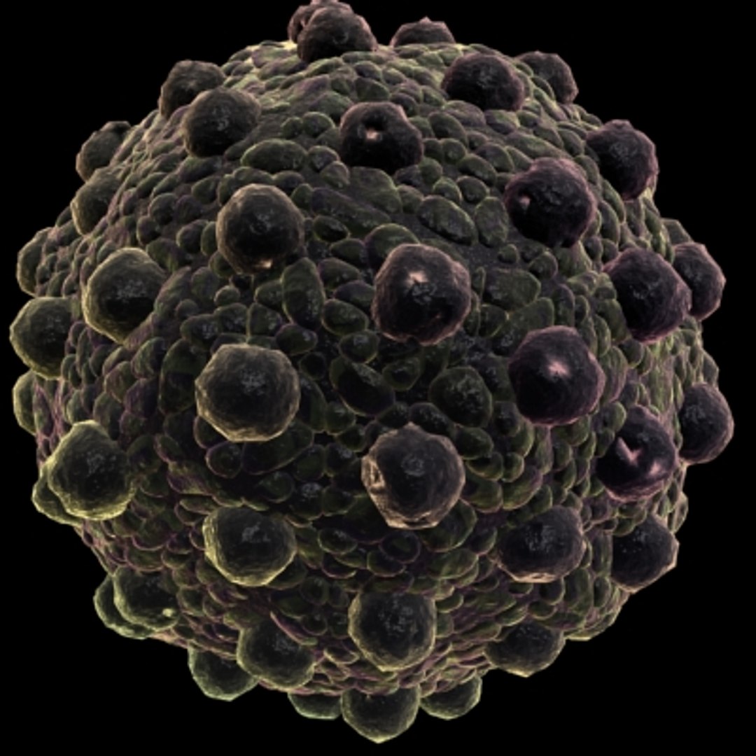 maya 20 micro objects set https://p.turbosquid.com/ts-thumb/dy/xuoSkQ/EmRlQ0cF/virus16/jpg/1214241632/1920x1080/fit_q87/94a005e049d5c3b023ced560c45a407fead3abf8/virus16.jpg