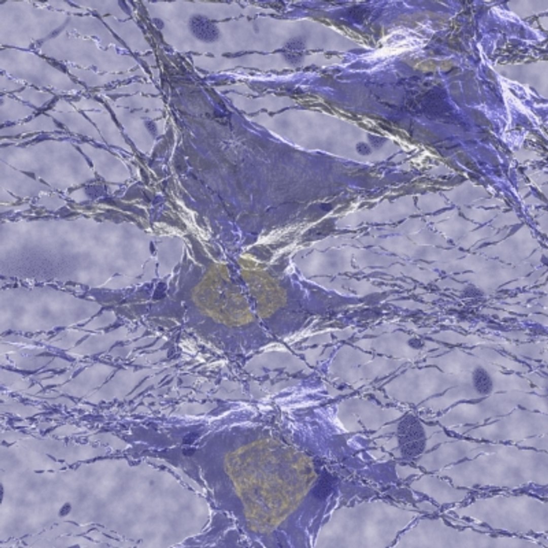 maya 20 micro objects set https://p.turbosquid.com/ts-thumb/dy/xuoSkQ/VR1fMpeB/braintumor/jpg/1214241475/1920x1080/fit_q87/4e64b6b2e5b10c0370e5ff302b2410015e487f72/braintumor.jpg