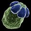 20 Micro Objects Set 6