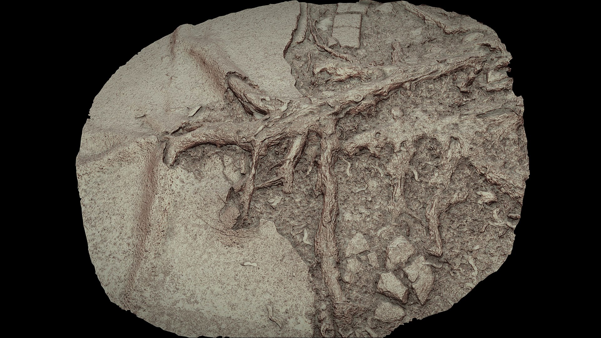 Asphalt Roots Damaged Road Part6 Photogrammetry 3D - TurboSquid 2338075