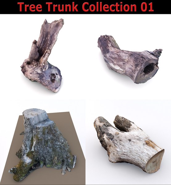 3D model scan tree trunk stump