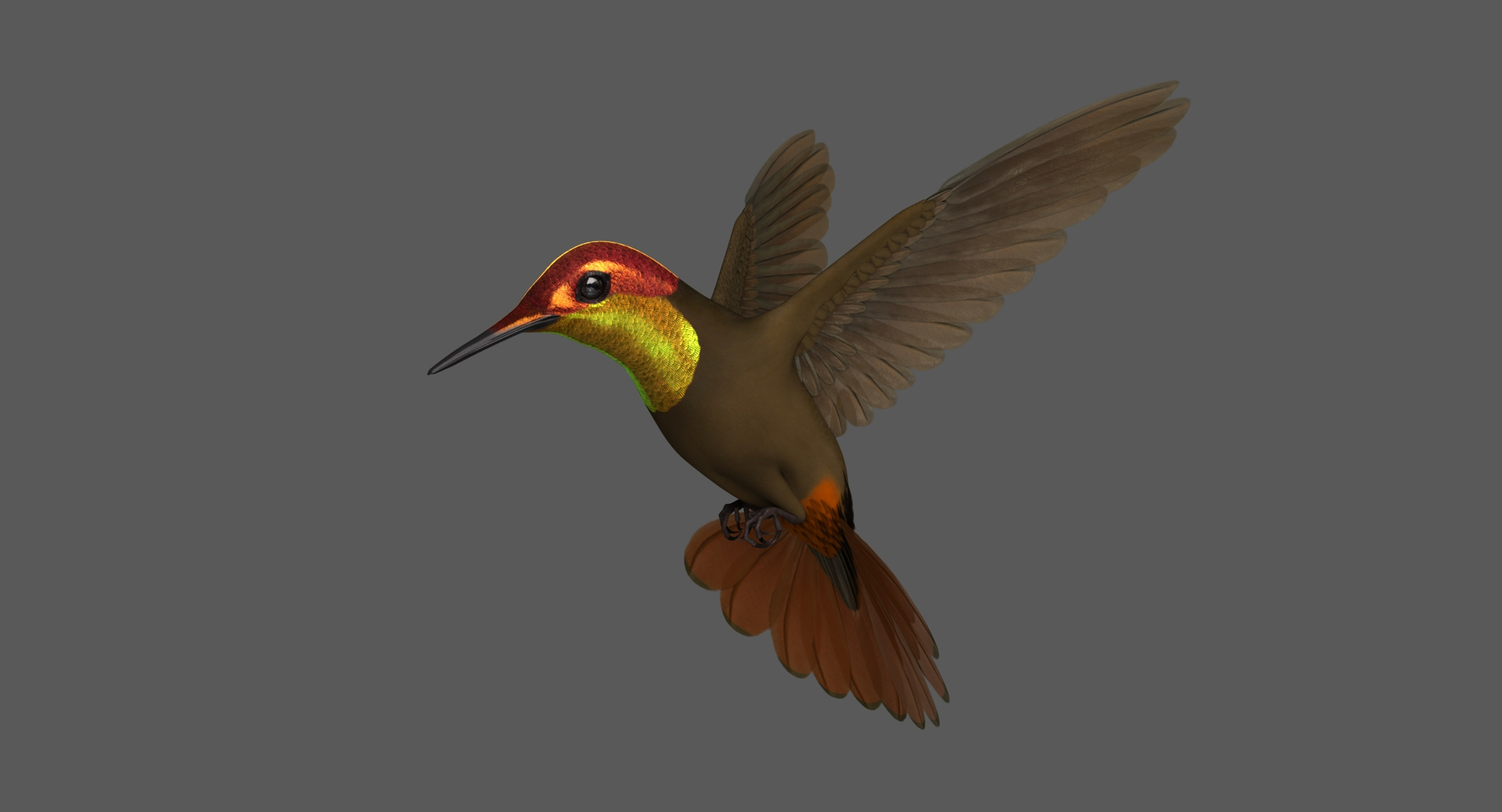 3D Ruby-topaz Hummingbird Animation Ruby Model - TurboSquid 1454756