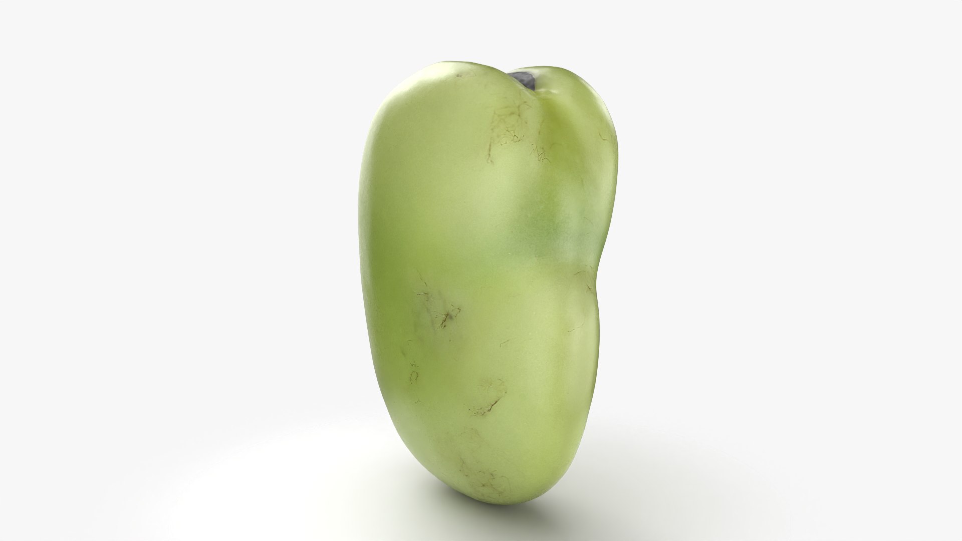 3D model Broad Bean Kernel - 3D Scanned https://p.turbosquid.com/ts-thumb/dz/H6SBf9/8w/broadbeankernel_0004/png/1781957778/1920x1080/fit_q87/b85ab8456cfca119844b978ed2b47e6e8be167fb/broadbeankernel_0004.jpg