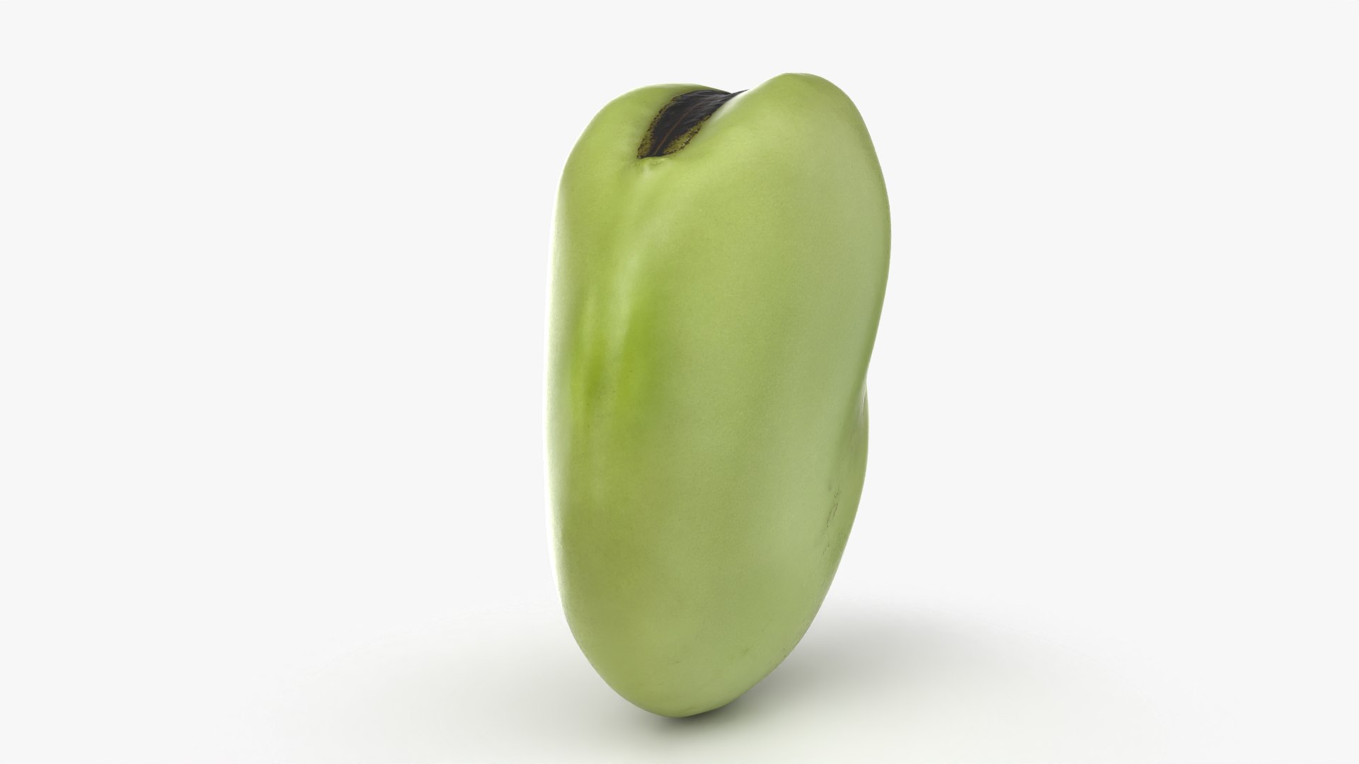 3D model Broad Bean Kernel - 3D Scanned https://p.turbosquid.com/ts-thumb/dz/H6SBf9/9M/broadbeankernel_0006/png/1781957784/1920x1080/fit_q87/958937808daf0ca027bbb1a5e6ce7d01a4984899/broadbeankernel_0006.jpg