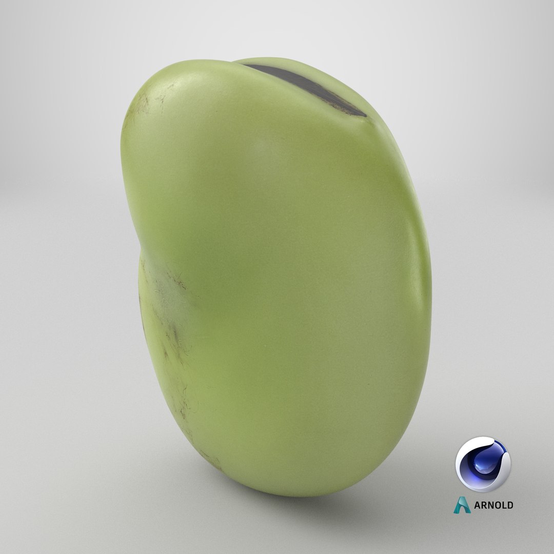3D model Broad Bean Kernel - 3D Scanned https://p.turbosquid.com/ts-thumb/dz/H6SBf9/AP/stemcell_cinema_4d_arnold_render/png/1782794103/1920x1080/fit_q87/2020b8dcad943e2795d3efa4b3d1c2ef1a3bb12a/stemcell_cinema_4d_arnold_render.jpg