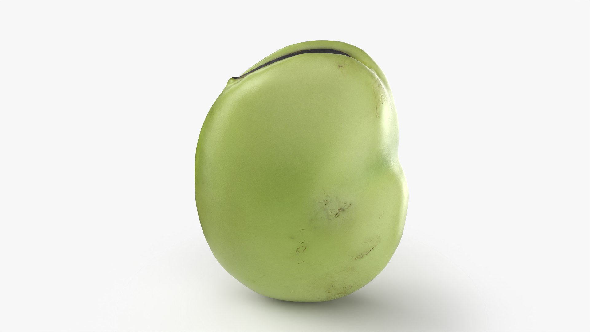 3D model Broad Bean Kernel - 3D Scanned https://p.turbosquid.com/ts-thumb/dz/H6SBf9/EW/broadbeankernel_0002/png/1781957774/1920x1080/fit_q87/32bafc0f72637d6ba06594f23481b3266edeced1/broadbeankernel_0002.jpg
