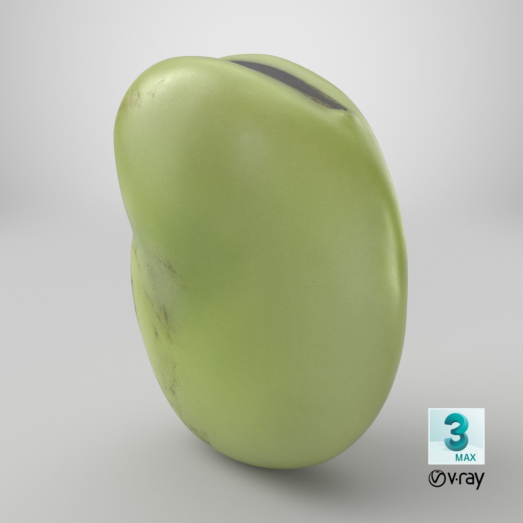 3D model Broad Bean Kernel - 3D Scanned https://p.turbosquid.com/ts-thumb/dz/H6SBf9/Iq/stemcell_max_vray_render/png/1782794106/1920x1080/fit_q87/d095fbd7d230d20d86be16f6655de7b1f944fee9/stemcell_max_vray_render.jpg
