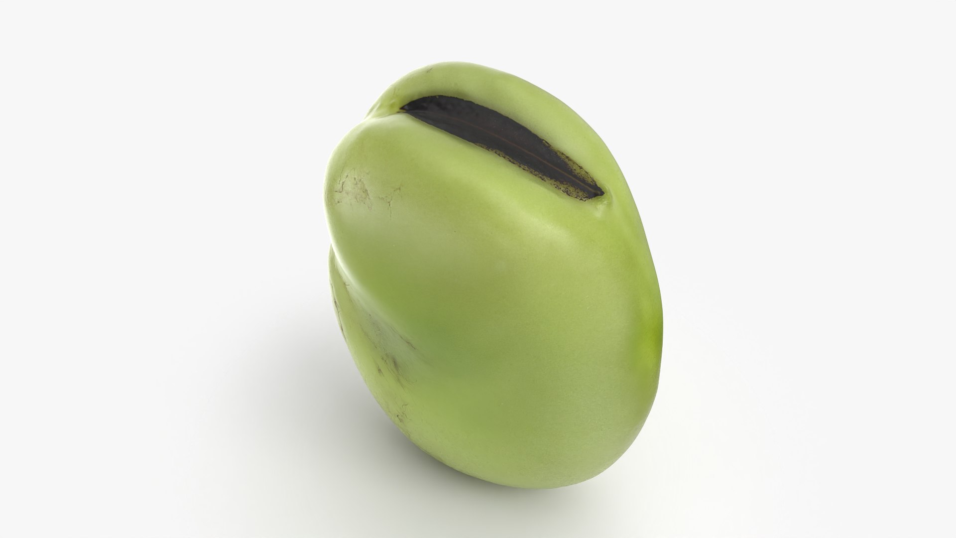 3D model Broad Bean Kernel - 3D Scanned https://p.turbosquid.com/ts-thumb/dz/H6SBf9/O2/broadbeankernel_0007/png/1781957786/1920x1080/fit_q87/d89b506c2e6a9320ed8b8e34b80e78db8e6870f1/broadbeankernel_0007.jpg