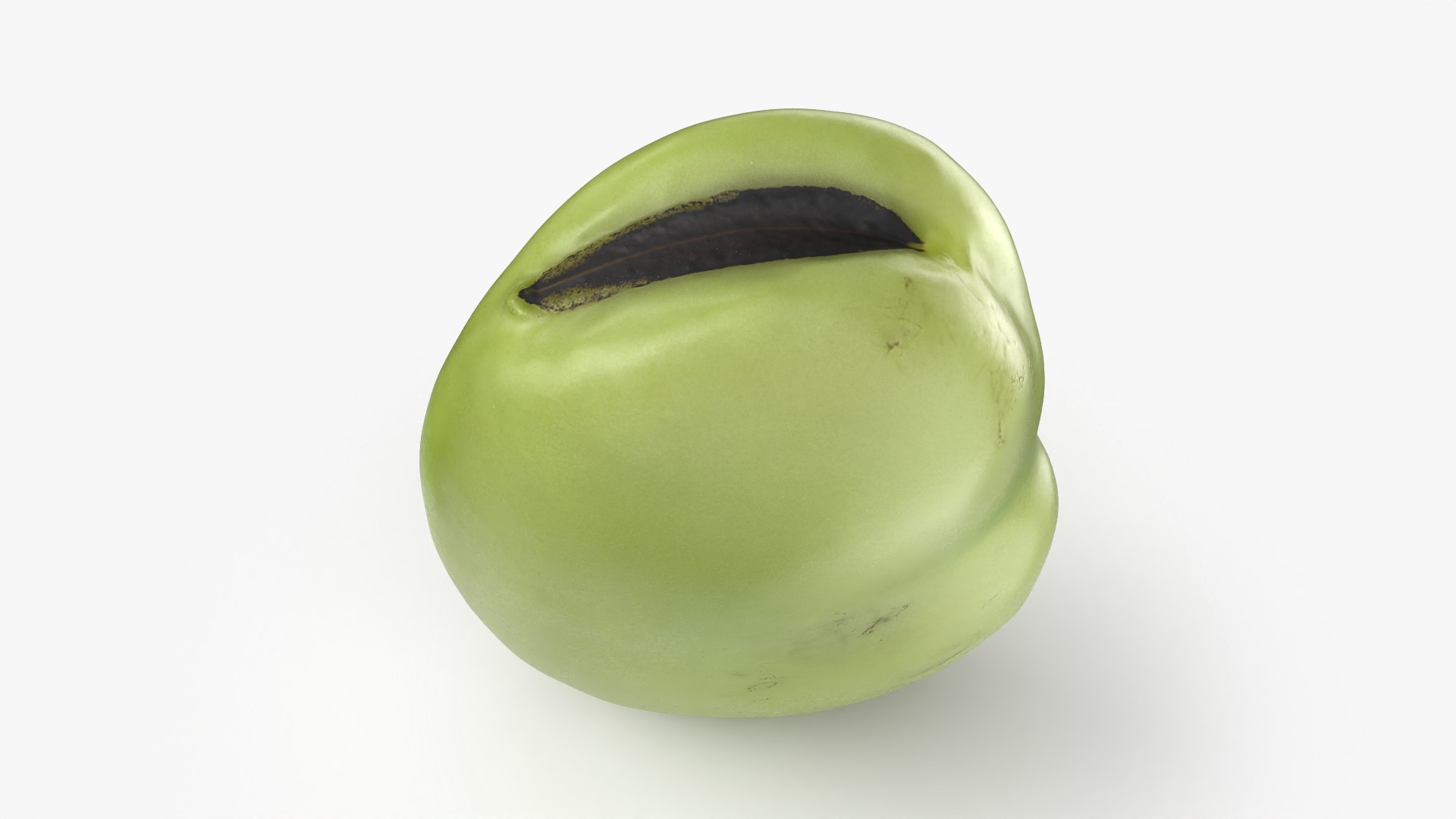 3D model Broad Bean Kernel - 3D Scanned https://p.turbosquid.com/ts-thumb/dz/H6SBf9/Vf/broadbeankernel_0003/png/1781957776/1920x1080/fit_q87/c09251bcadeb59ad3890e1154563f7e768ef961d/broadbeankernel_0003.jpg