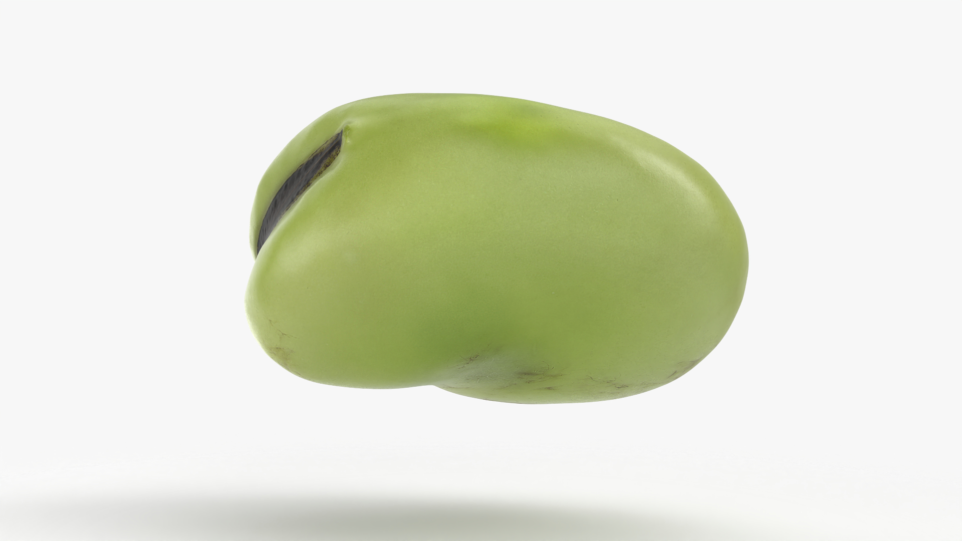3D model Broad Bean Kernel - 3D Scanned https://p.turbosquid.com/ts-thumb/dz/H6SBf9/Xv/broadbeankernel/png/1782563243/1920x1080/turn_fit_q99/d07a9332c56985aa07a02a7f7e8b5716242291f8/broadbeankernel-1.jpg