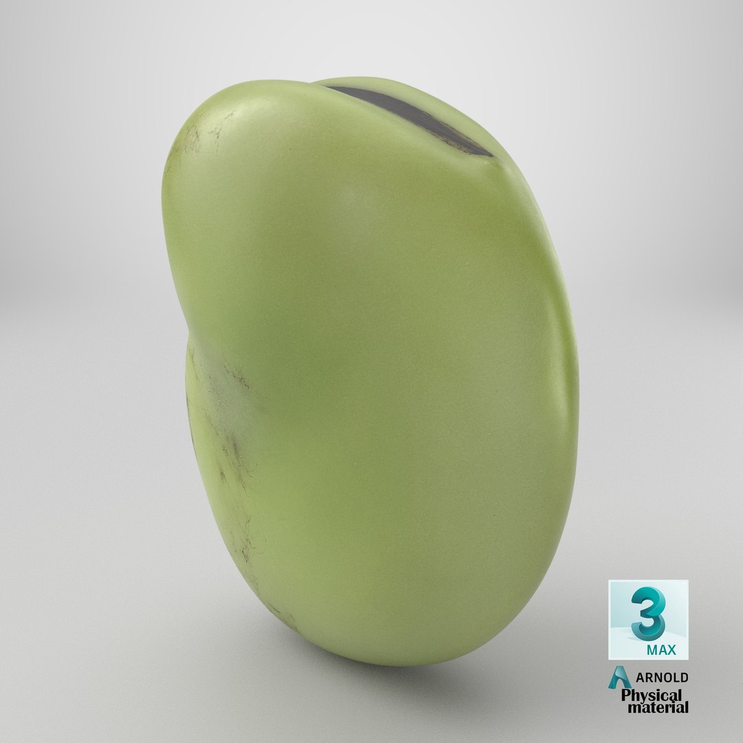 3D model Broad Bean Kernel - 3D Scanned https://p.turbosquid.com/ts-thumb/dz/H6SBf9/cC/stemcell_max_physical_render/png/1782794109/1920x1080/fit_q87/62159950caf5997ffc1372d5bebe723f7e2562b7/stemcell_max_physical_render.jpg