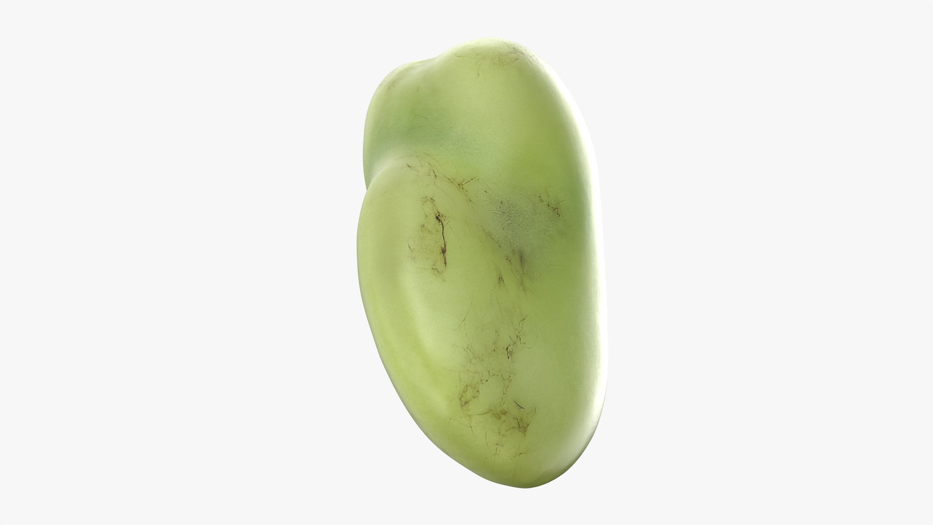 3D model Broad Bean Kernel - 3D Scanned https://p.turbosquid.com/ts-thumb/dz/H6SBf9/i4/broadbeankernel_0009/png/1781957793/1920x1080/fit_q87/7939f709377a5a605b37e92629da7b53e134a52d/broadbeankernel_0009.jpg